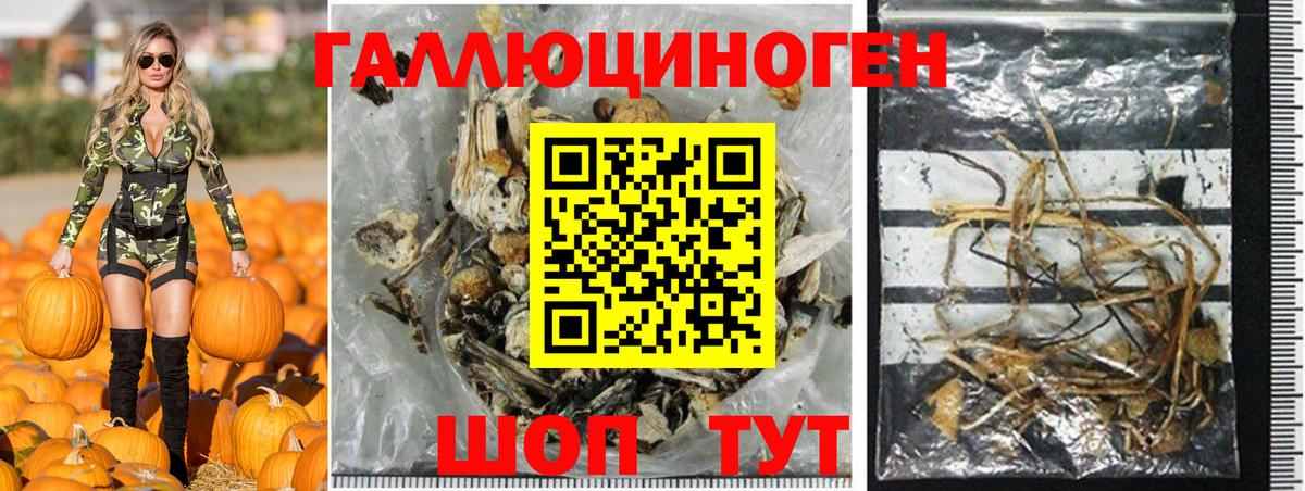 Псилоцибиновые грибы MAGIC MUSHROOMS Верхний Уфалей
