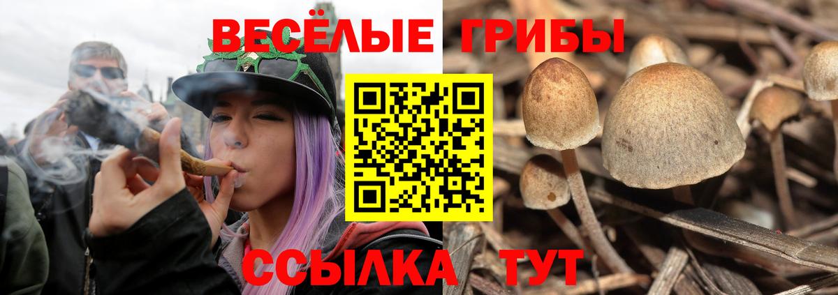 Верхний Уфалей  Галлюциногенные грибы Magic Shrooms  Псилоцибиновые грибы GOLDEN TEACHER  Вход с VPN 